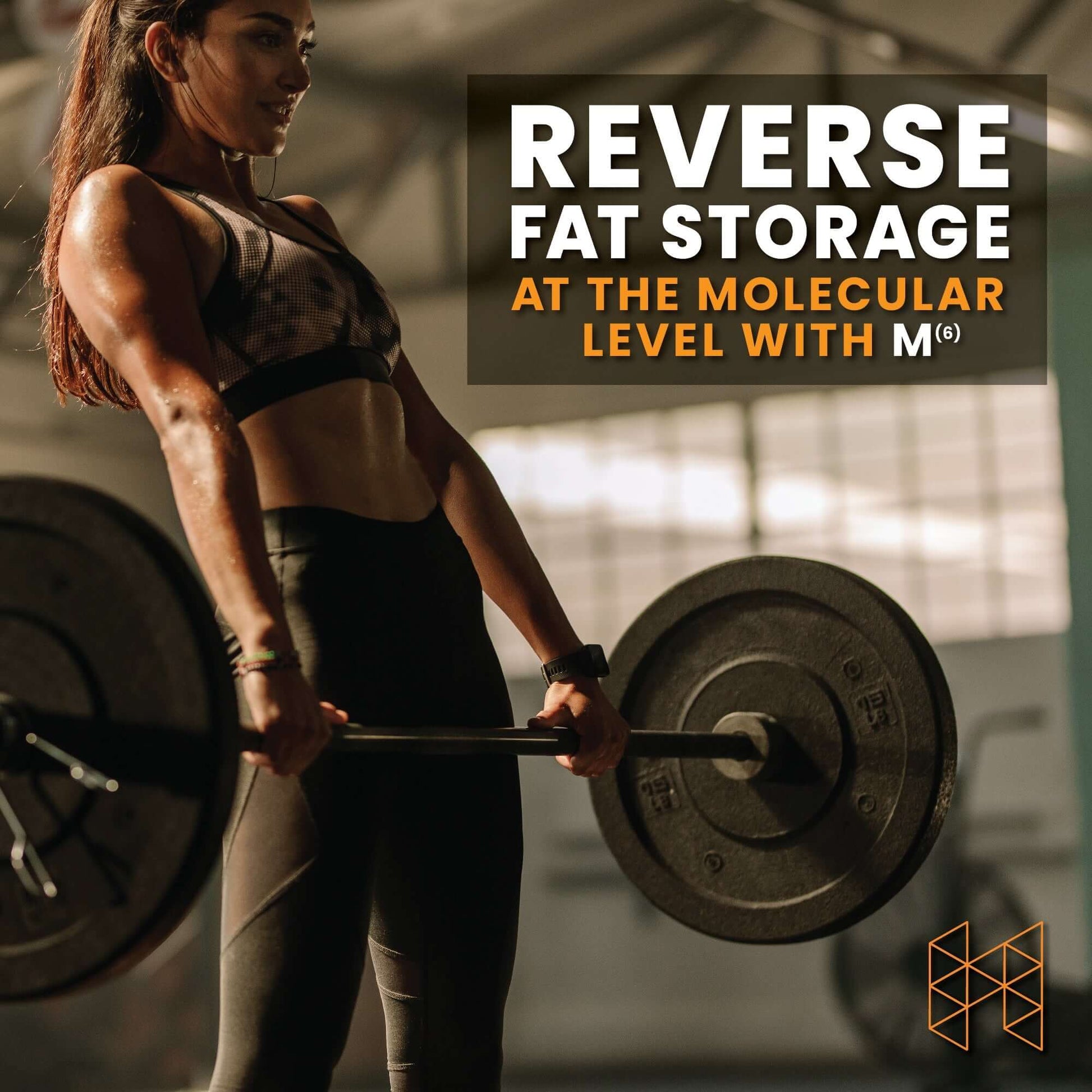 Reverse fat storage at the molecular level with M6 Metabolism Optimization for effective weight management.