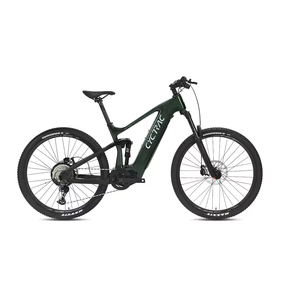 EM10 2025 - ELECTRIC ALLOY BIKE-0