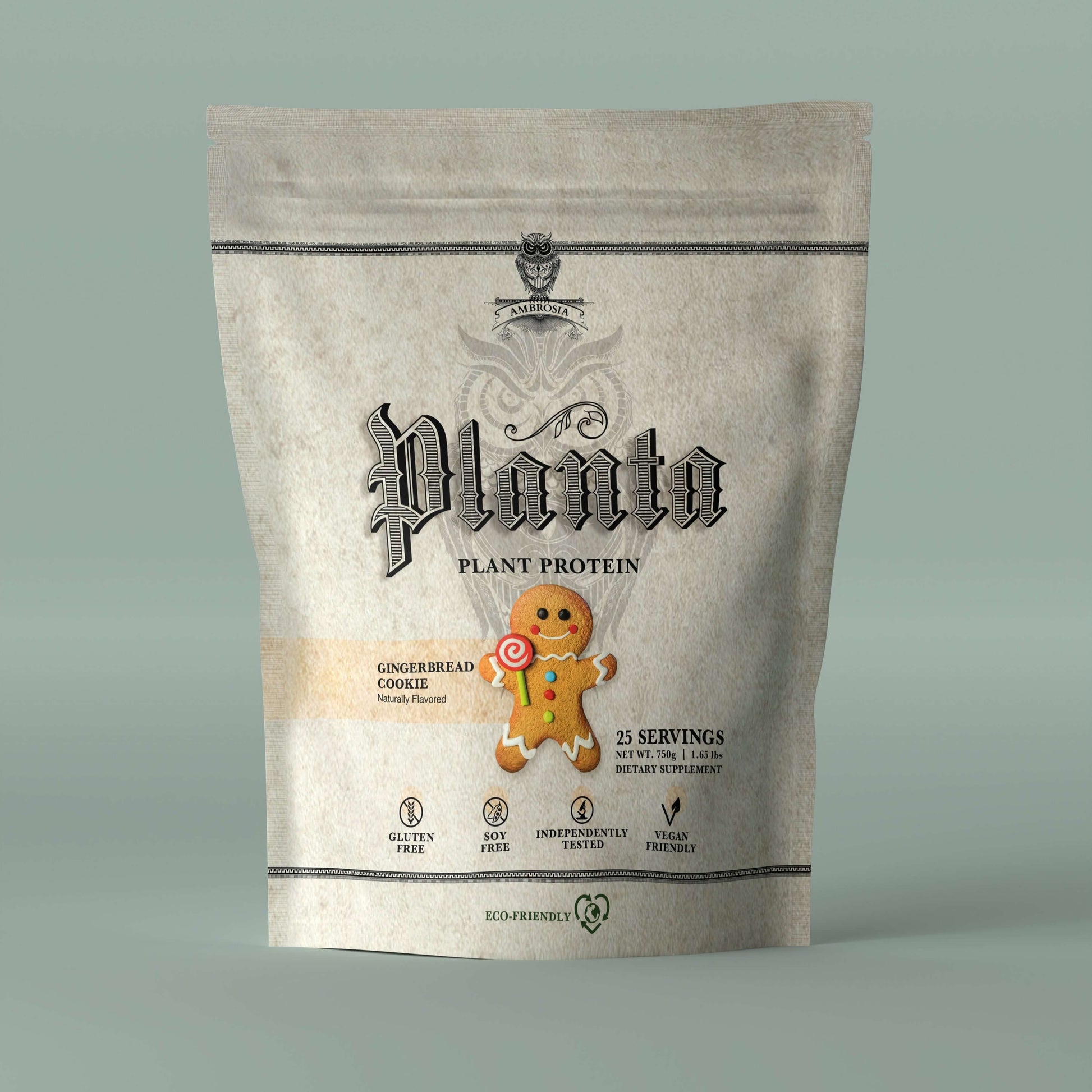 Planta - Premium Plant Protein bag with gingerbread cookie flavor, eco-friendly packaging, 25 servings