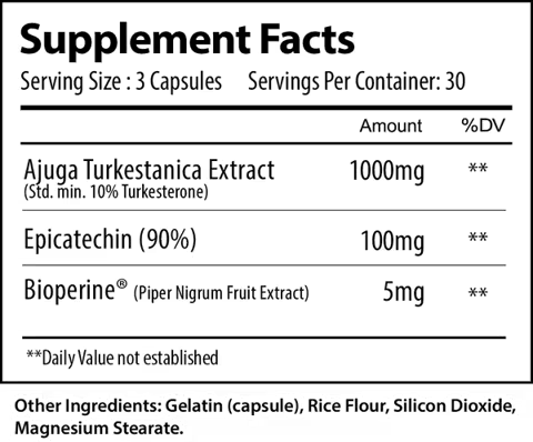 Alpha Supps Turk
